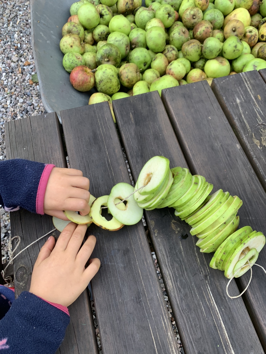 Kinderhände basteln mit Apfelringen, viele Äpfel