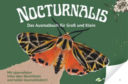 Nocturnalis Ausmalbuch mit Nachtfalterbild