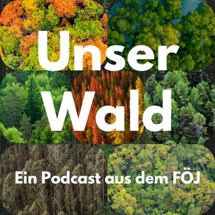 Podcast über Wald und Natur im FÖJ