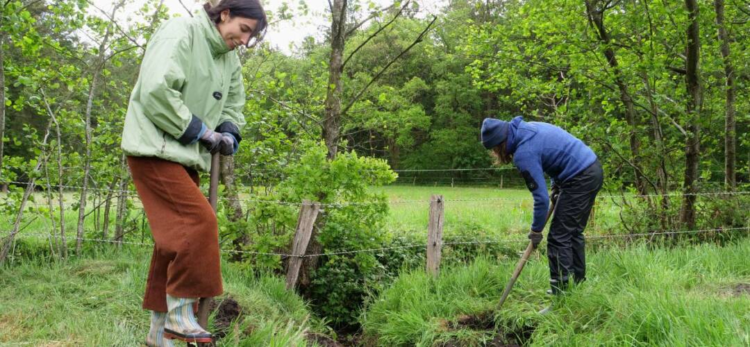 Zwei Personen graben im Garten.